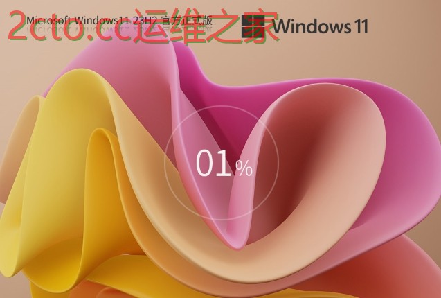Windows11 23H2 22631.5413 X64 专业版