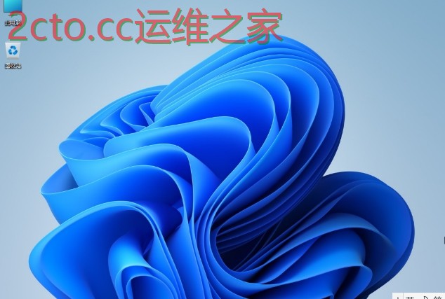 Windows 11 安装启动界面