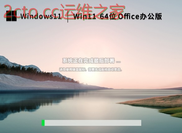 选择安装类型界面