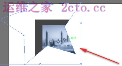 Adobe Illustrator官方最新版