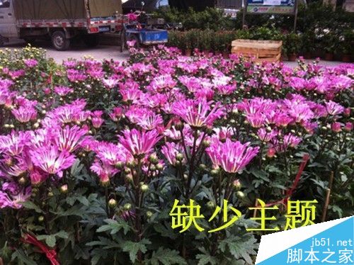 未使用九宫格构图的示例一