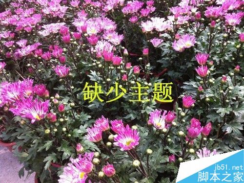 未使用九宫格构图的示例二