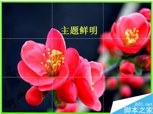 使用九宫格构图的示例一