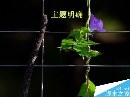 使用九宫格构图的示例二