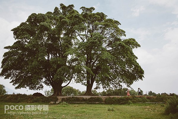 嬉戏打闹