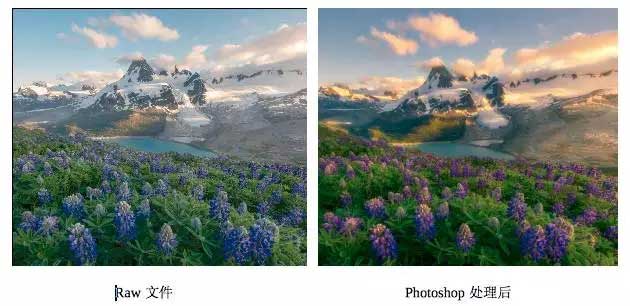 Mountain Flowers Sea作品