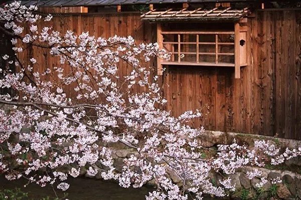 花丛框架示例