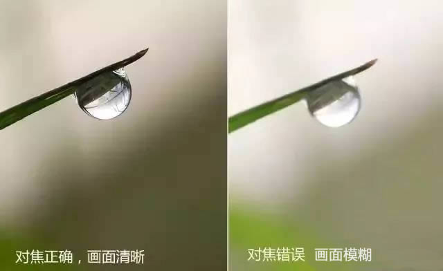 手机摄影技巧：教大家如何拍好水珠