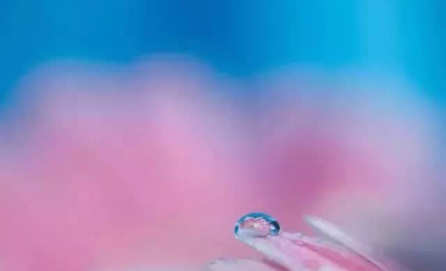 手机摄影技巧：教大家如何拍好水珠