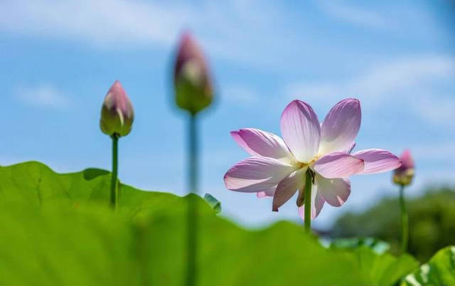 多角度拍摄