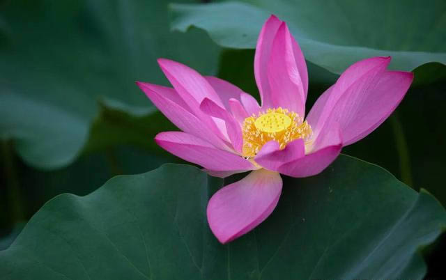明确主体