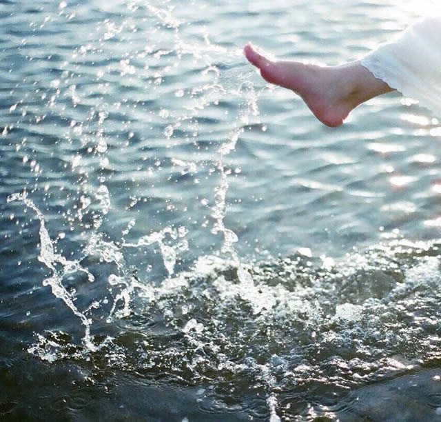 海边局部特写