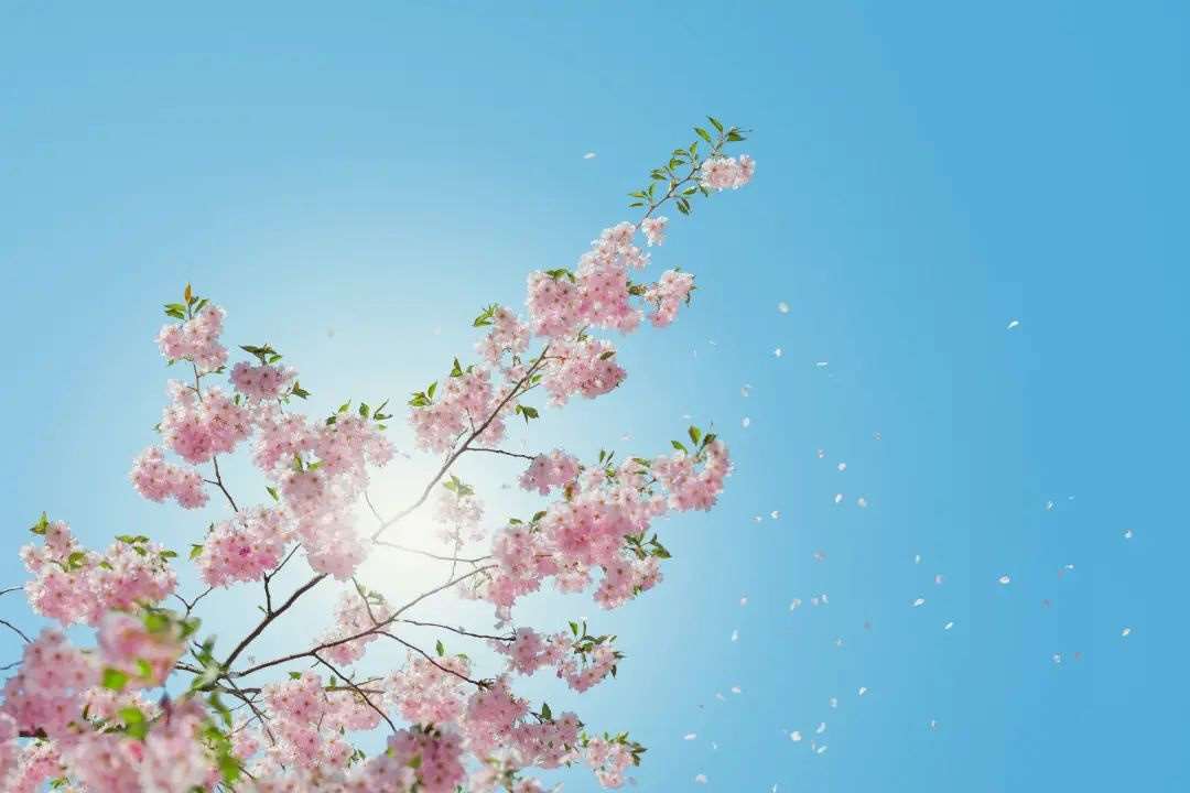 天空背景示例