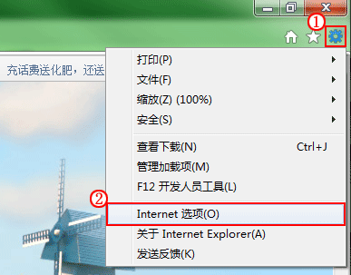 IE9缓存清理界面