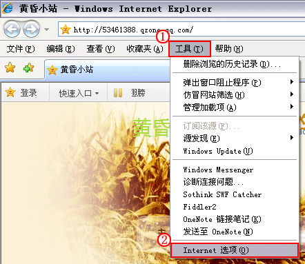 IE7缓存清理界面