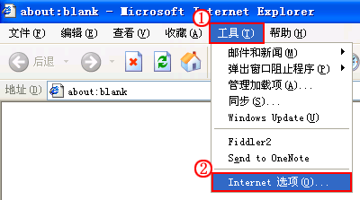 IE6缓存清理界面
