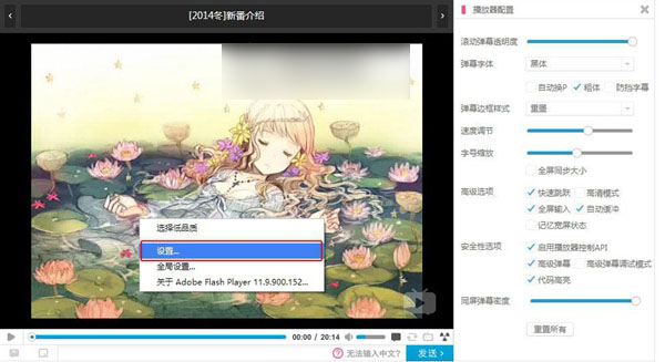 Flash播放器设置界面