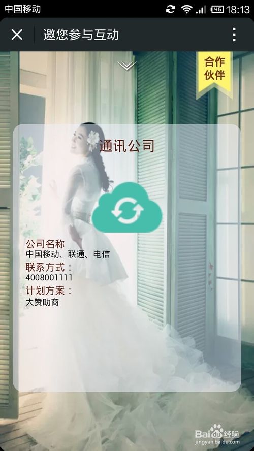 后台数据管理