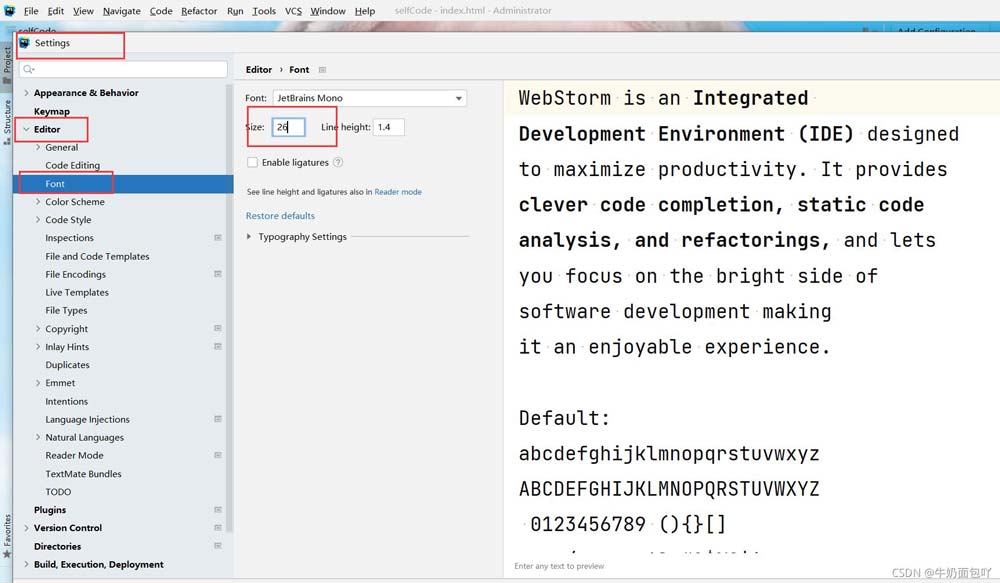 WebStorm 英文版字体设置