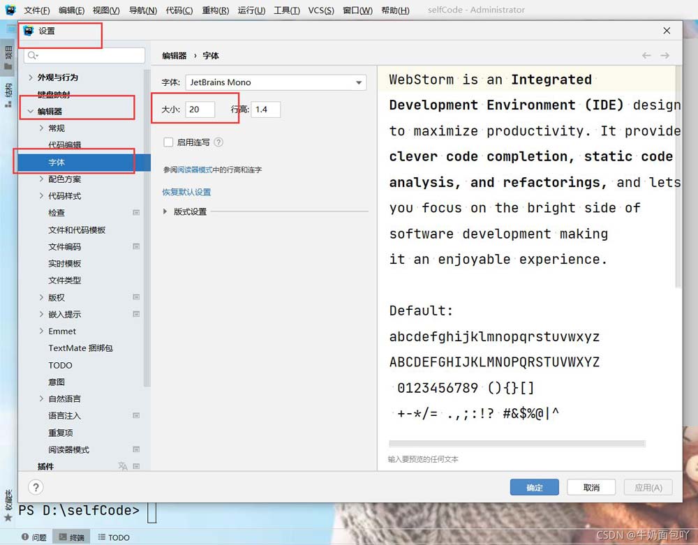 WebStorm 中文版字体设置步骤1