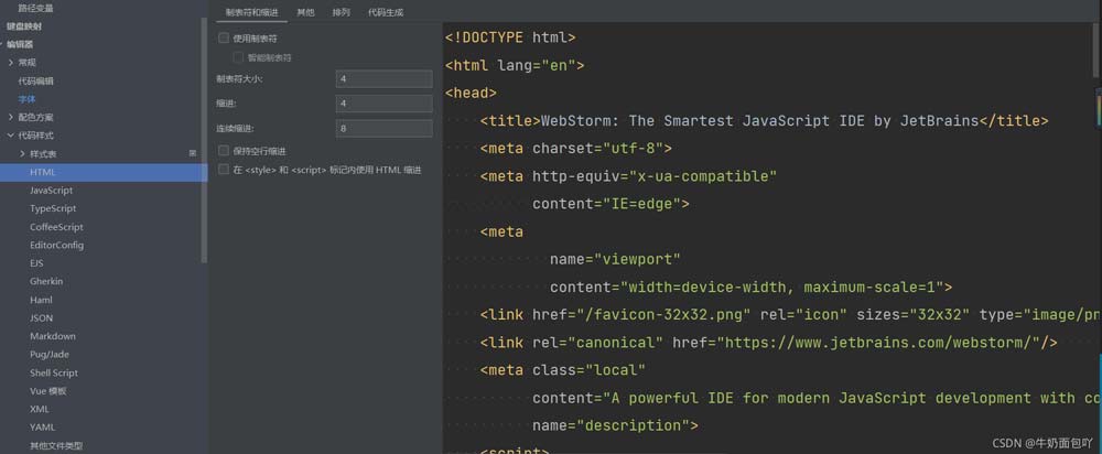WebStorm 中文版主题设置步骤3