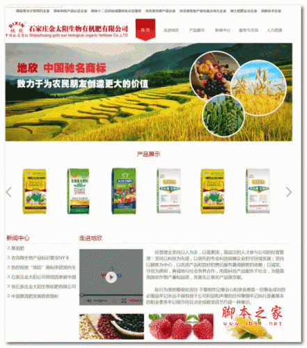 大气生物有机肥网站企业公司源码 v1.0