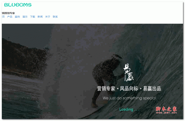 bluecms企业网站 asp版 v1.0